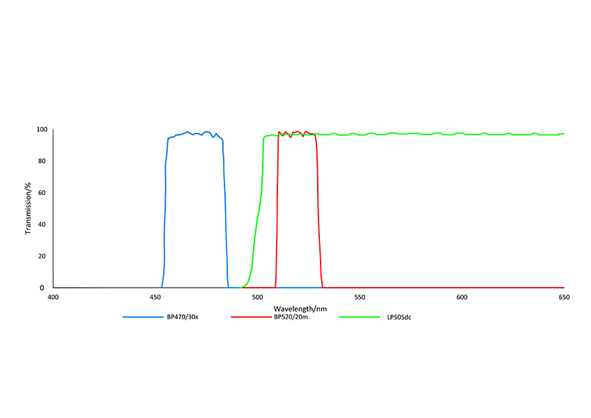 PCR Opticaal fluorescence filter FAM SYBR Green_00